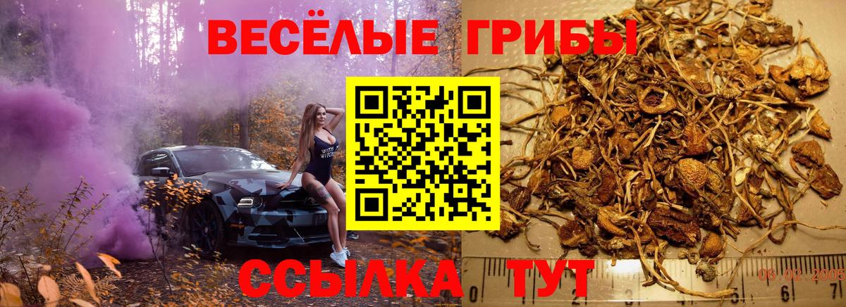 Псилоцибиновые грибы MAGIC MUSHROOMS  Псилоцибиновые грибы прущие грибы  Городец  Вход с VPN 