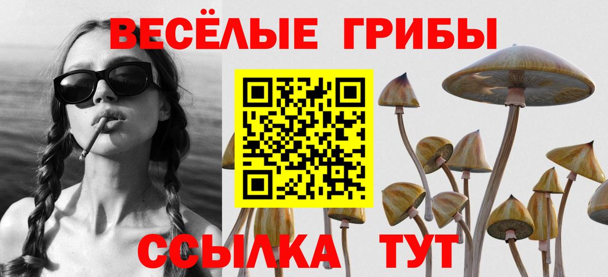 Псилоцибиновые грибы MAGIC MUSHROOMS Городец